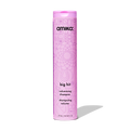 Big Hit Volumizing Shampoo